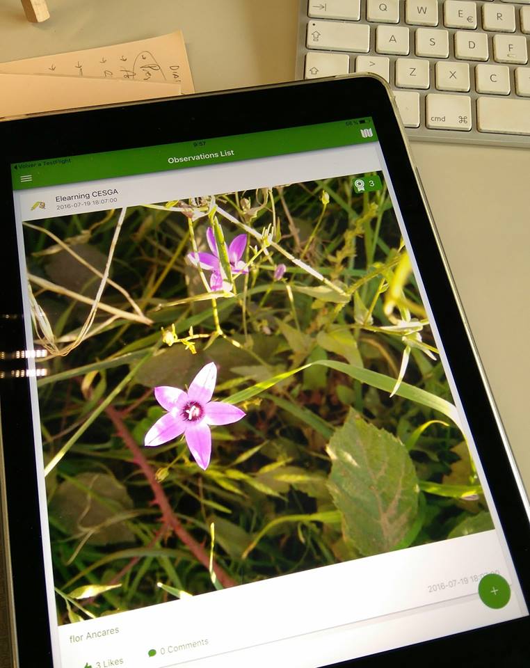 PhenoloGIT app